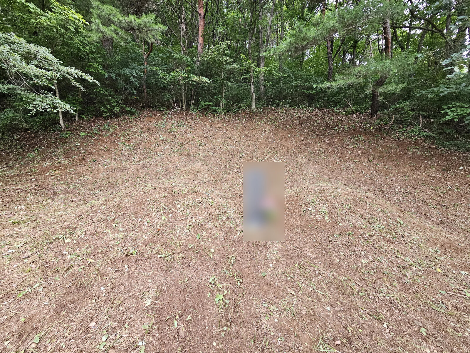 잔디가 고른 봉분과 듬성듬성한 봉분의 상태 비교 작업 후 정리 완료