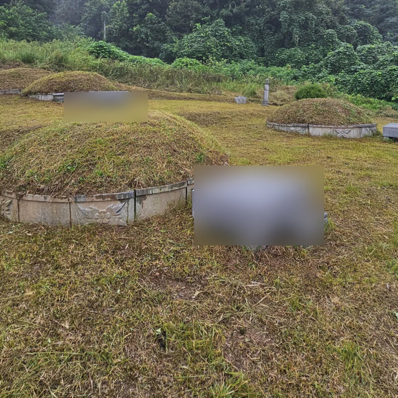 경북 벌초대행 작업 후 정리된 묘역