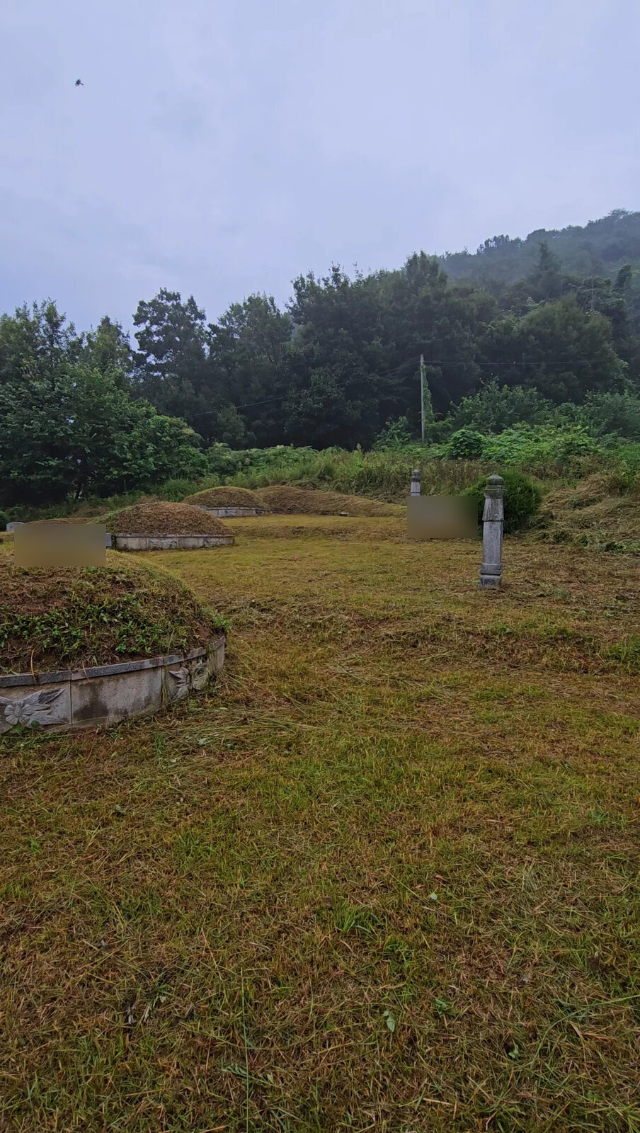 봉분 수가 적은 현장과 여러 기가 모인 현장의 차이 작업 후 정리 완료