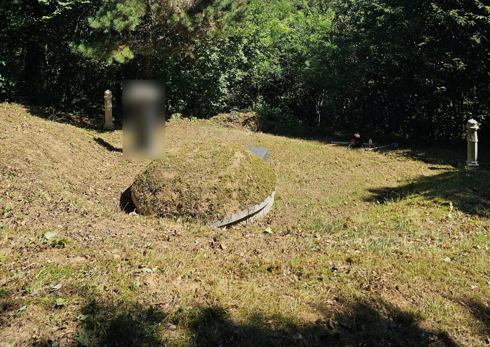 평지에 가까운 묘역의 정리 전후 모습 작업 후 정리 완료