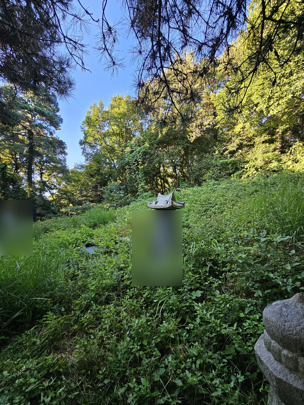 경사진 야산 묘역의 예초 전후 비교 작업 전 묘역