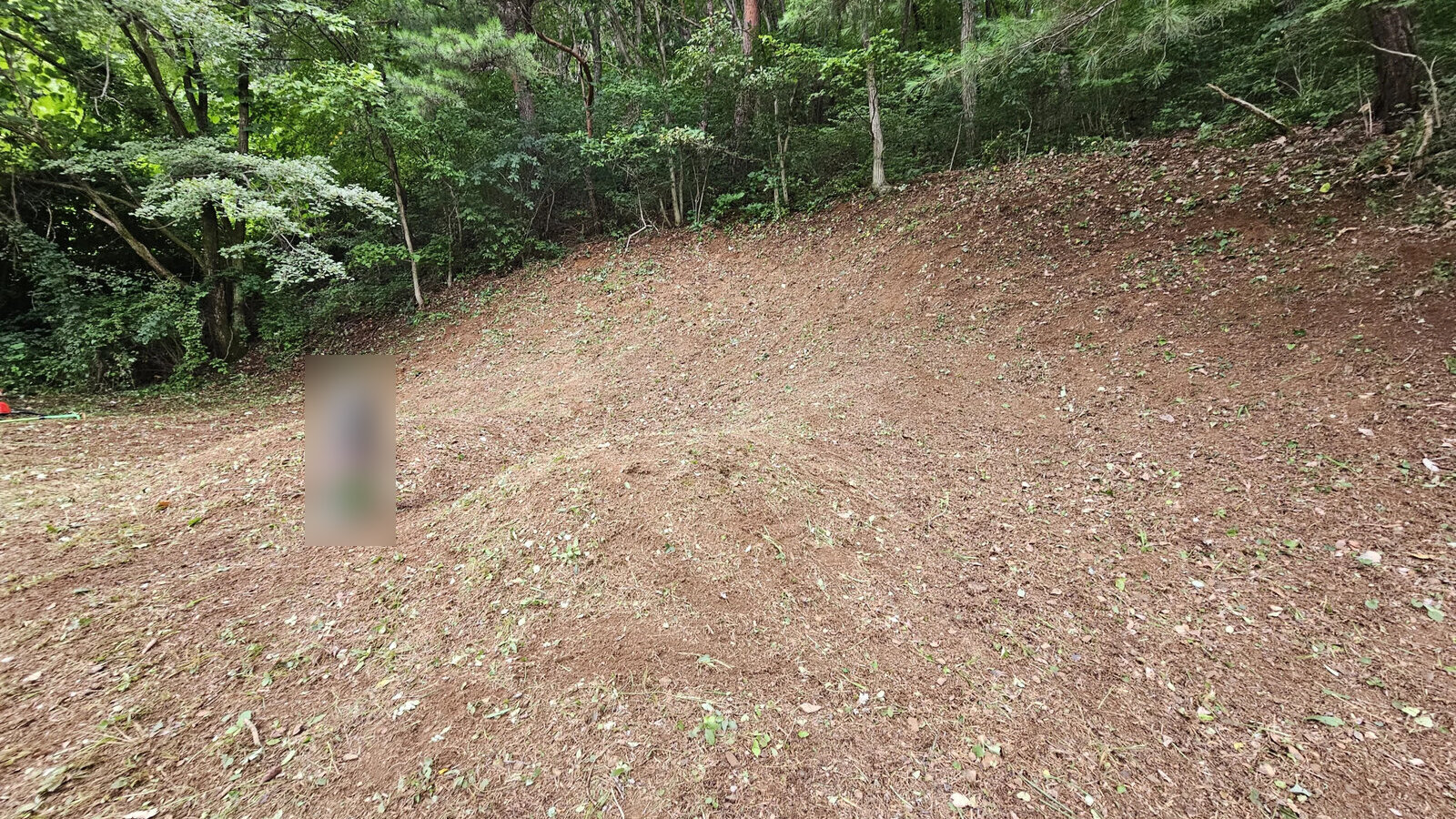 벌초비용 작업 후 정리된 묘역