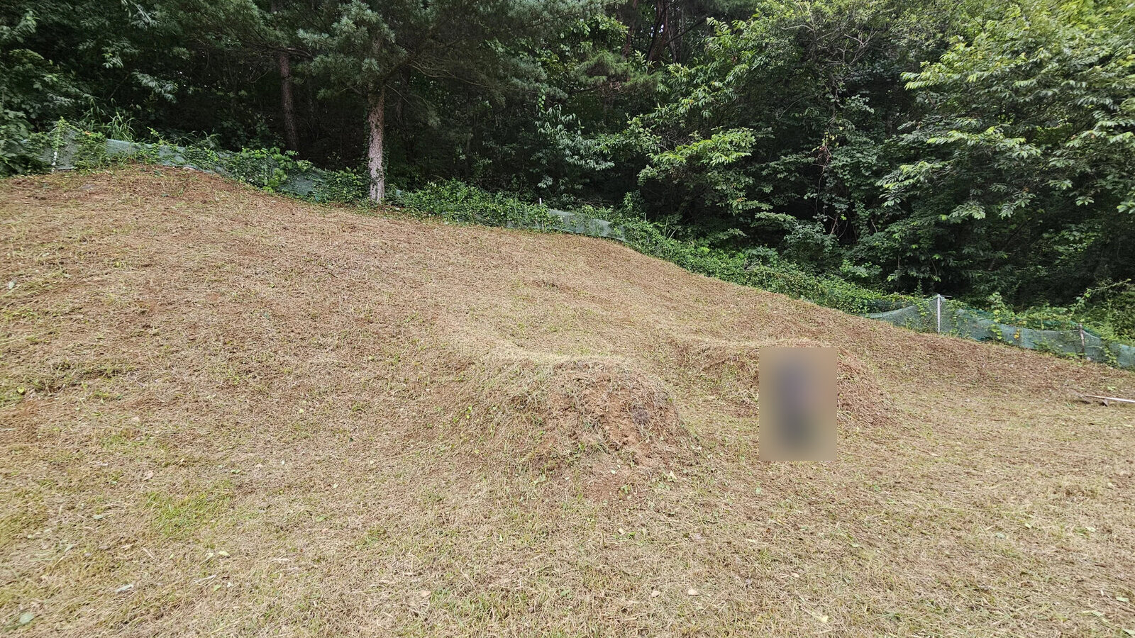 벌초 지역서비스 대표 이미지