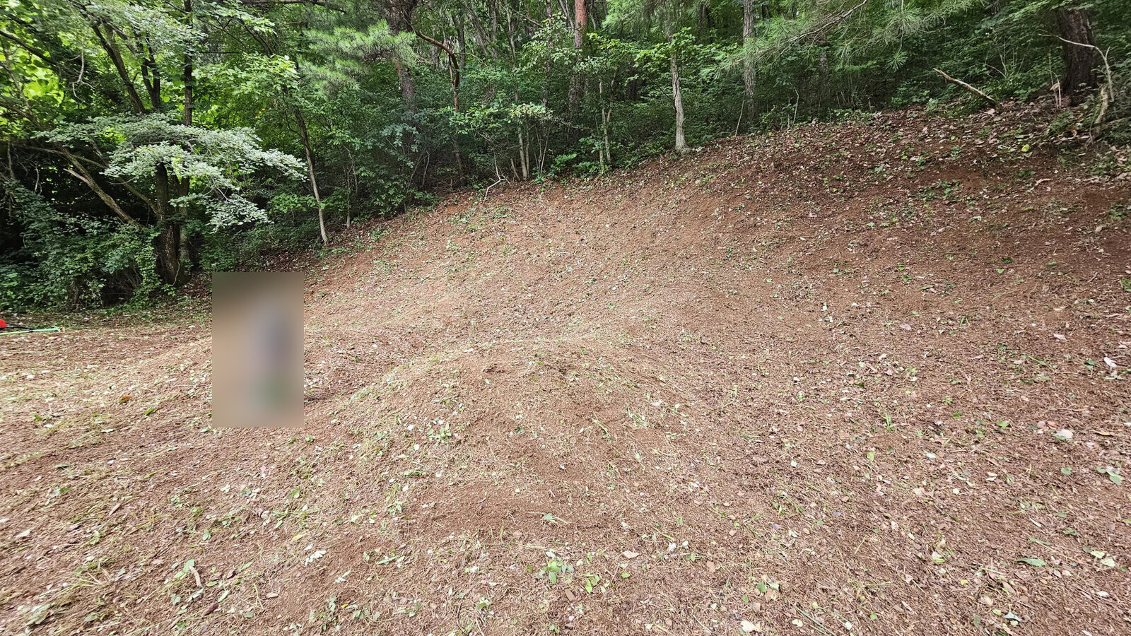 성묘대행 작업 후 정리된 묘역
