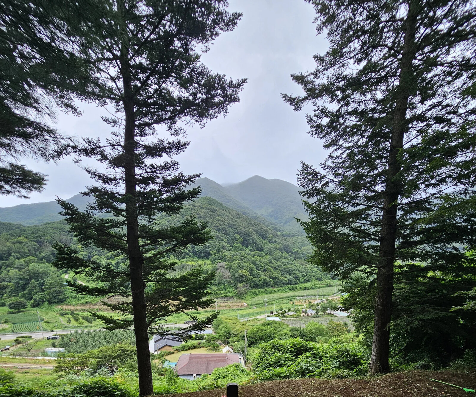 여러 산소가 모여 있는 가족 묘역의 작업 전후 모습 작업 후 정리 완료