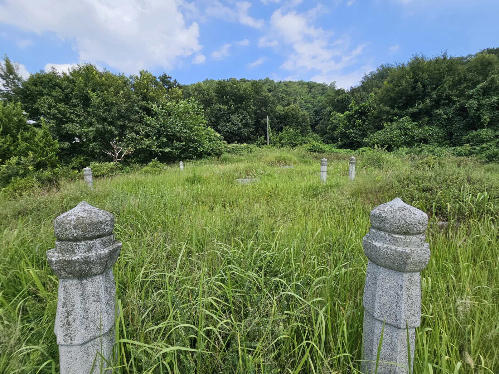 키 큰 풀밭 속에 표지석 두 기만 드러난 오랫동안 관리가 뜸했던 것으로 보이는 무연고 벌초 전